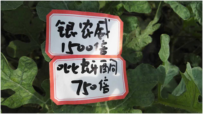 【探索】是什么讓黃蚜如此落?。?>
        </a>
        

    

</div><div   id=